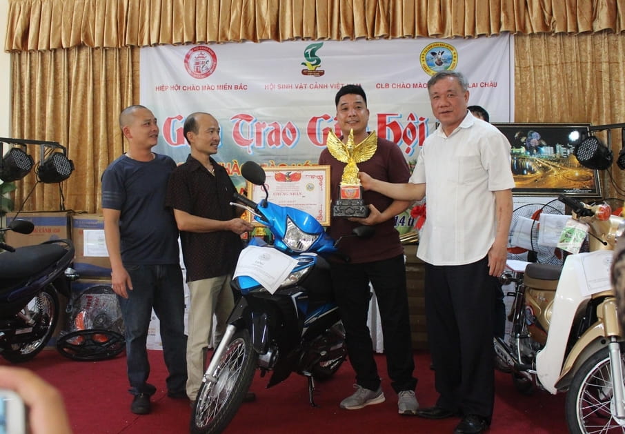 Lãnh đạo Hội Sinh vật cảnh tỉnh trao giải nhất cho chim chào mào mang số 149 của nghệ nhân Tùng Lê (CLB Chim chào mào Thiên Lôi - Hải Phòng).